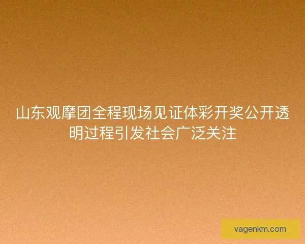山东观摩团全程现场见证体彩开奖公开透明过程引发社会广泛关注